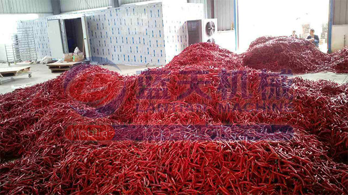 大型食品烘干機試機現場