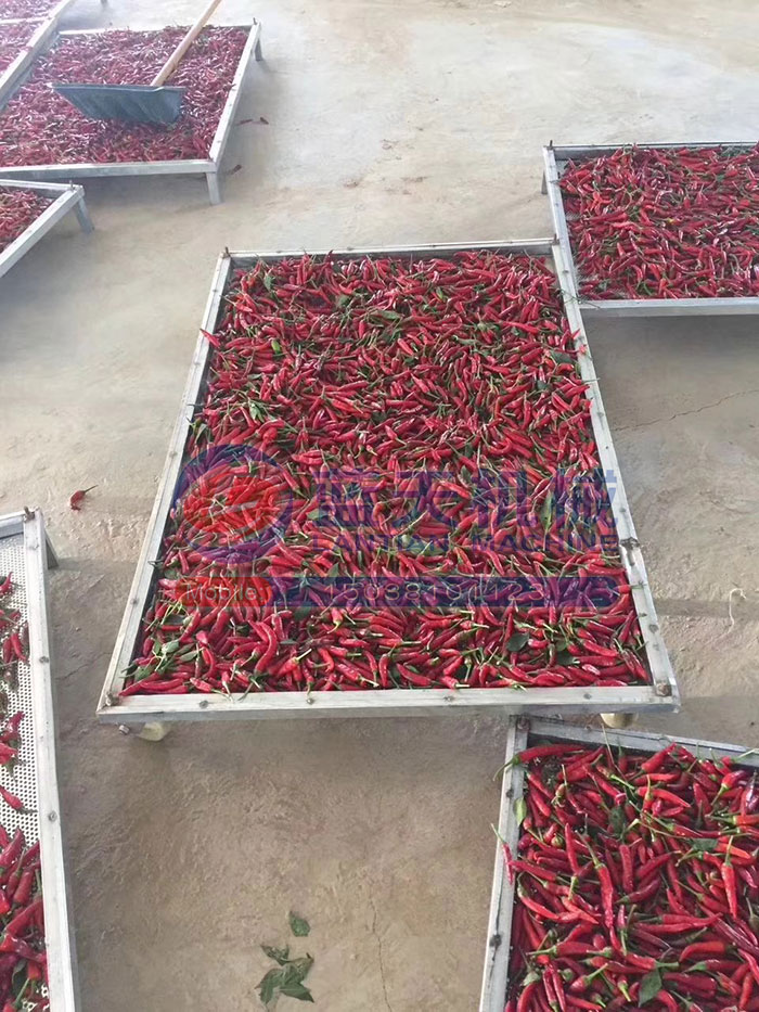 大型食品烘干機試機現場