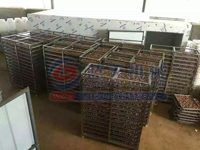 大型食品烘干機試機現場