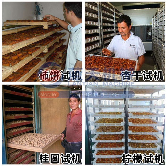 堅(jiān)果烘干機(jī)試機(jī)現(xiàn)場(chǎng)